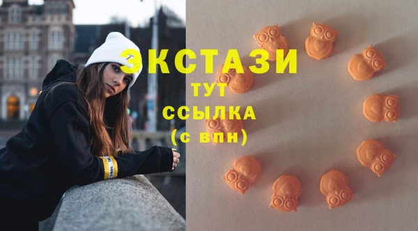гидра Майский