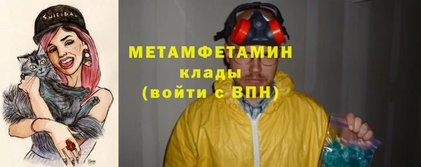 гидра Майский