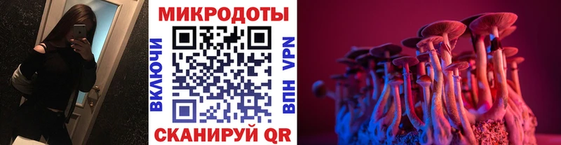 сколько стоит  Циолковский  Псилоцибиновые грибы Magic Shrooms 
